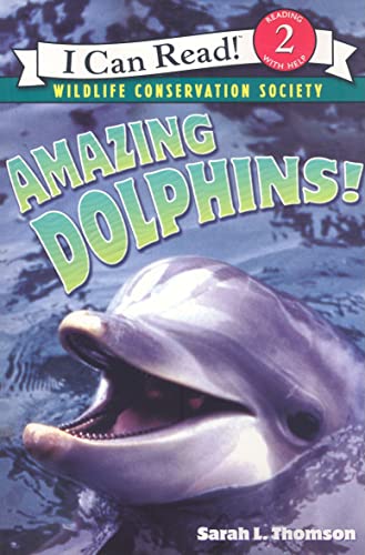 Amazing Dolphins!