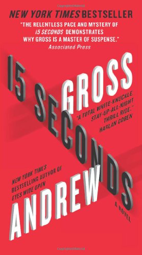 15 Seconds: A Novel
