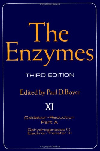 The Enzymes