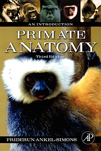 Primate Anatomy: An Introduction