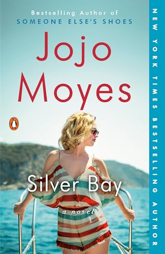 Silver Bay: A Novel