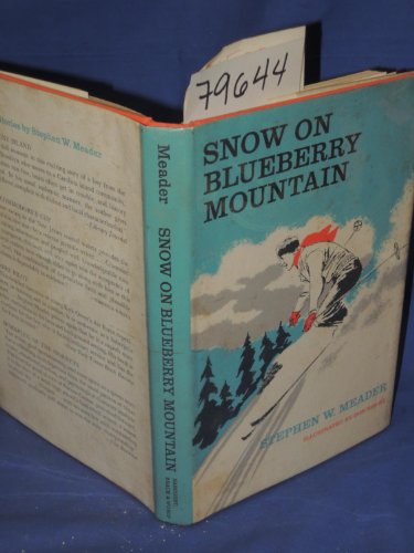 Snow on Blueberry Mountain