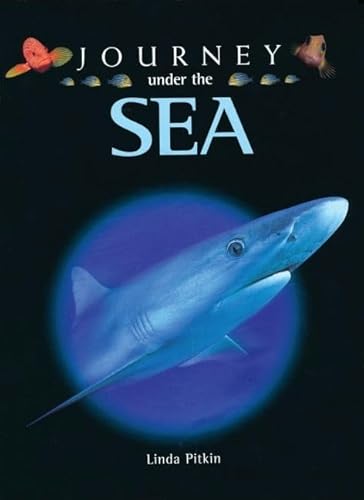 Journey Under the Sea