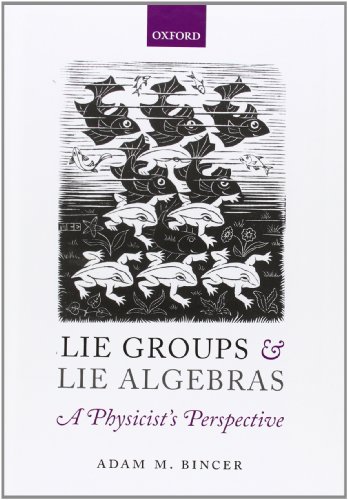 Lie Groups and Lie Algebras - A Physicist's Perspective