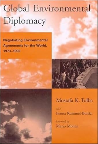 Global Environmental Diplomacy: Negotiating Environmental Agreements for the World, 1973-1992 (Global Environmental Accord: Strategies for Sustainability and Institutional Innovation (Paperback))