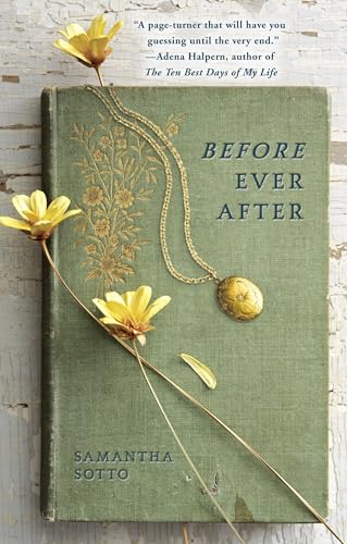 Before Ever After: A Novel