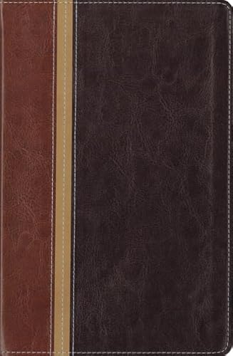 New International Version/ The Message Parallel Study Bible: New International Version, Dark Caramel/Black Italian Duo-tone, Personal Size