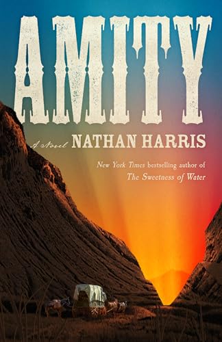 Amity: A Novel