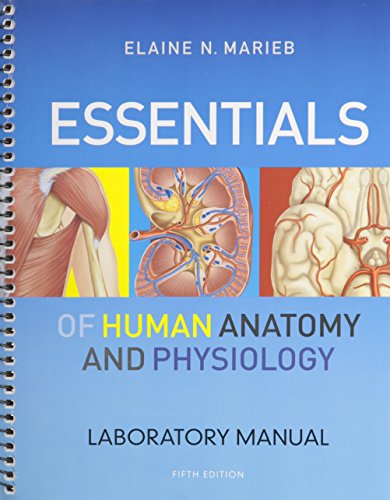 Essentials of Human Anatomy & Physiology
