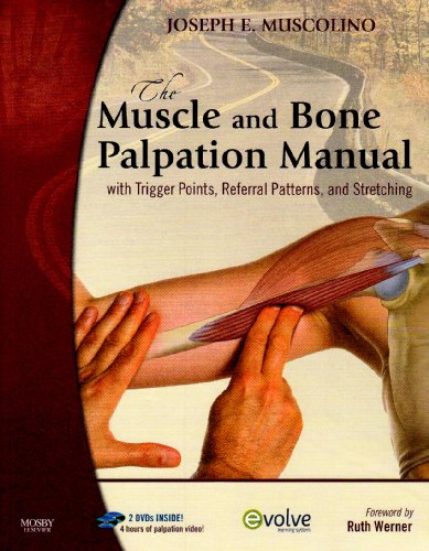 The Muscle and Bone Palpation Manual with Trigger Points, Referral Patterns and Stretching - Text and Flashcards Package