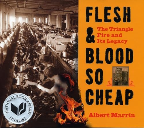 Flesh and Blood So Cheap: The Triangle Fire and Its Legacy: .