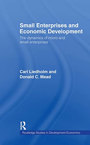 Small Enterprises and Economic Development (Routledge Studies in Development Economics)