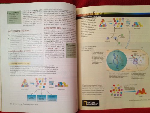 Visualizing Nutrition: Everyday Choices