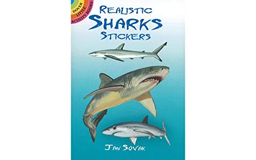 Realistic Sharks