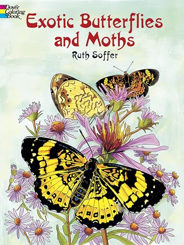 Exotic Butterflies and Moths CB