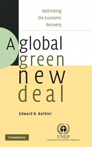 A Global Green New Deal: Rethinking the Economic Recovery