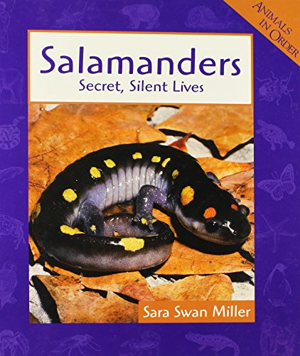 Salamanders: Secret, Silent Lives (Animals in Order)