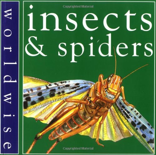 Insects and Spiders (Worldwise)