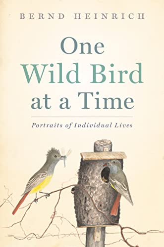 One Wild Bird At A Time: Portraits of Individual Lives