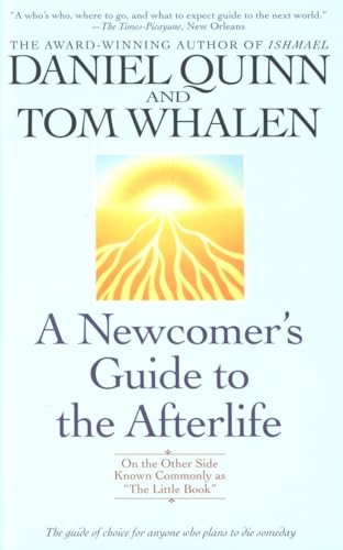 A Newcomer's Guide to the Afterlife: On the Other Side Known Commonly As "the Little Book"