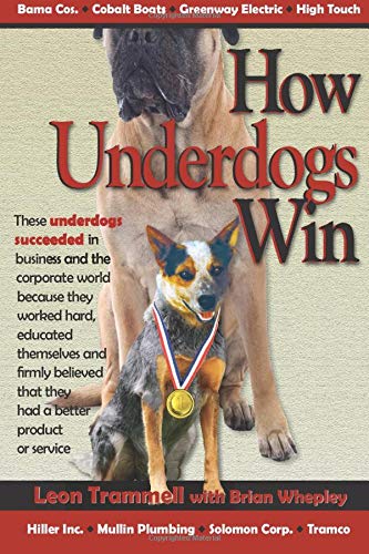 How Underdogs Win