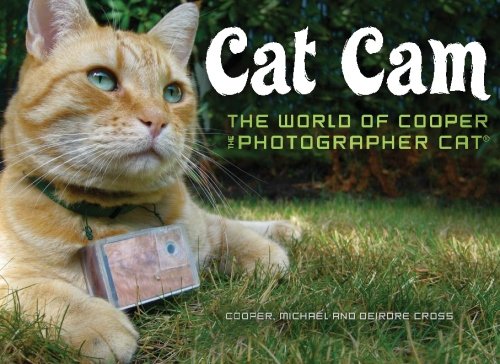 Cat Cam: The World of Cooper the Photographer Cat