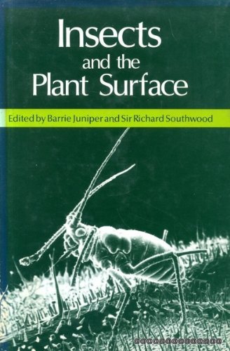 Insects and the plant surface