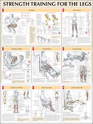 Strength Training for the Legs
