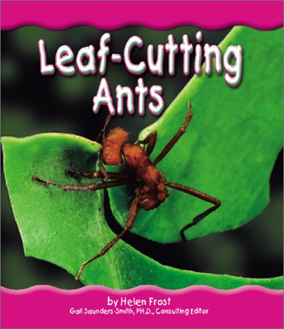 Leaf-Cutting Ants