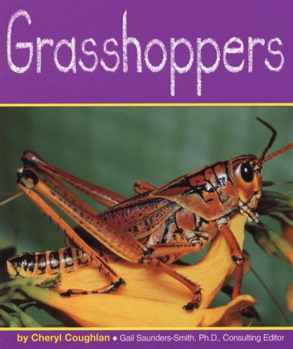 Grasshoppers
