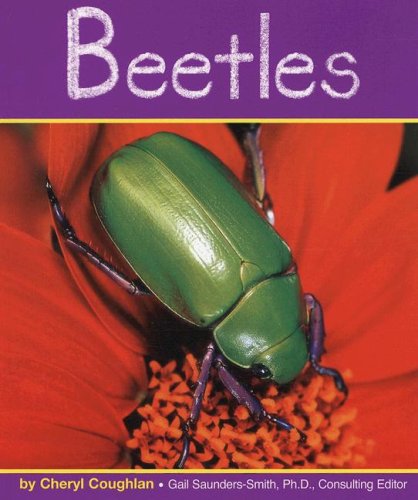 Beetles (Insects)