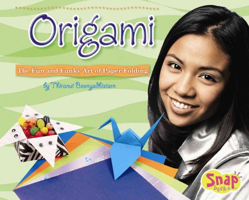 Origami: The Fun and Funky Art of Paper Folding (Snap)
