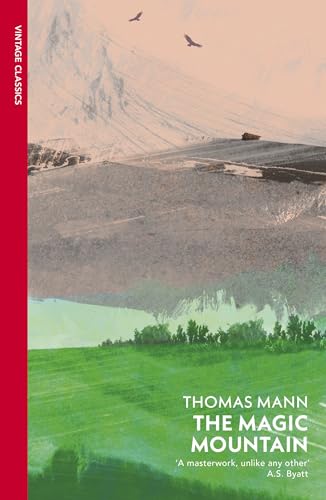 The Magic Mountain: As Seen on BBC Between the Covers (Vintage Classics)