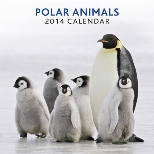 2014 Calendar: Polar Animals: 12-Month Calendar Featuring Beautiful Photographs of Spectacular Animals From the Arctic Circle