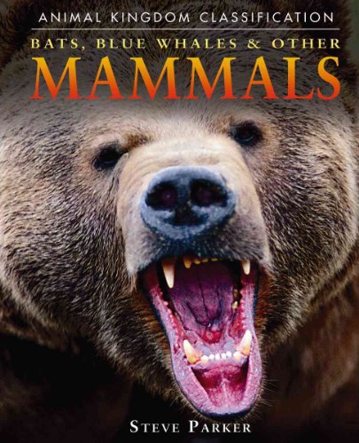 Bats, Blue Whales & Other Mammals (Animal Kingdom Classification)