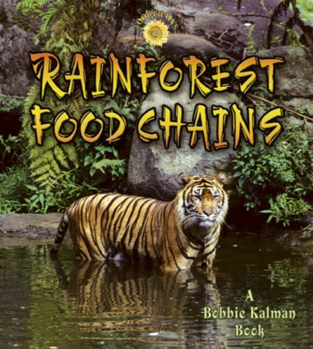 Rainforest Food Chains