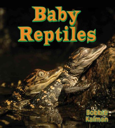 Baby Reptiles (It's Fun to Learn About Baby Animals, 7)