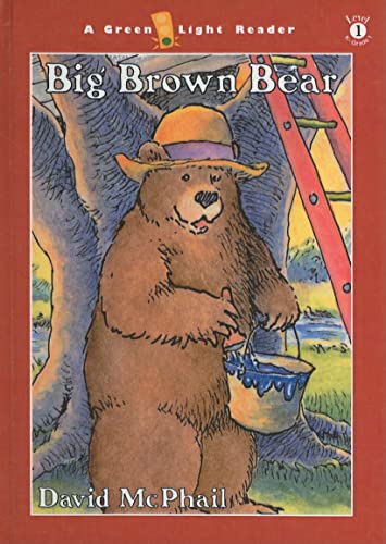 Big Brown Bear (Green Light Readers: Level 1)