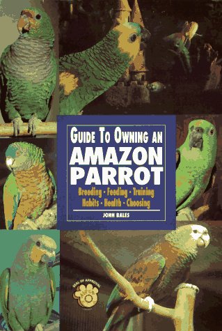 Guide to Owning an Amazon Parrot