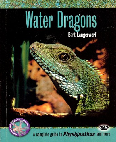 Water Dragons: A Complete Guide to Physignathus and More