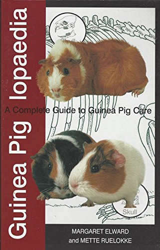 Proper Care of Guinea Pigs