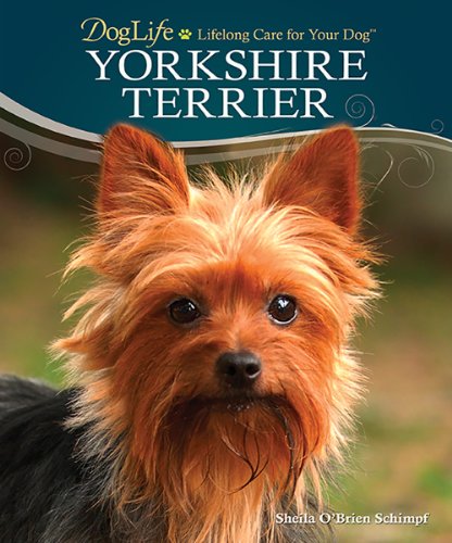 Yorkshire Terrier (DogLife)