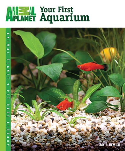 Your First Aquarium