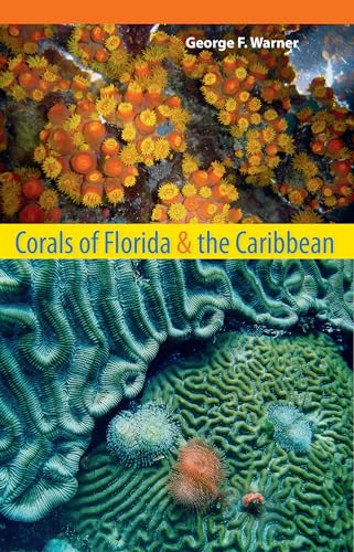 Corals of Florida and the Caribbean