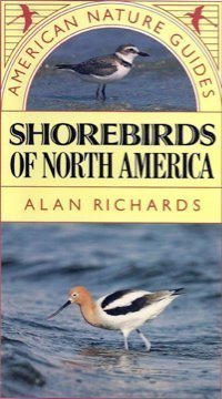 Shorebirds of North America