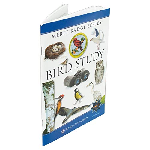 Bird Study