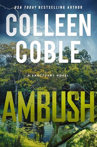 Ambush: A Small-Town Romantic Suspense