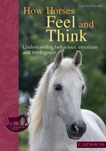 How Horses Feel and Think: Understanding Behaviour, Emotions and Intelligence (Bringing You Closer)