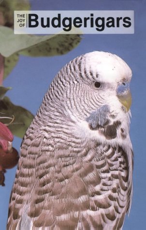 Joy of Budgerigars
