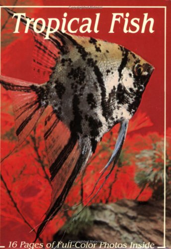 Tropical Fish